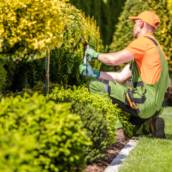 Paisagismo: Transforme Seu Ambiente com Estilo e Harmonia em Florianópolis