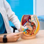 Urologista Especializado - Cuidado Completo para a Saúde Masculina e Urinária - São Mateus