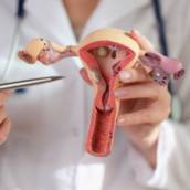 Ginecologista - Saúde Integral da Mulher - São Mateus