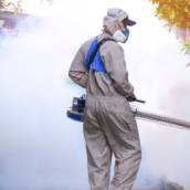 Sanitização Contra Mosquito da Dengue