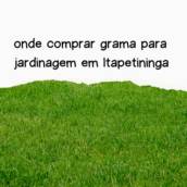 onde comprar grama para jardinagem em Itapetininga