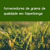 fornecedores de grama de qualidade em Itapetininga