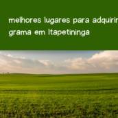 melhores lugares para adquirir grama em Itapetininga