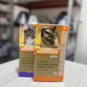 Antipulgas para gatos