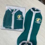 Roupa pós-operatório para cães