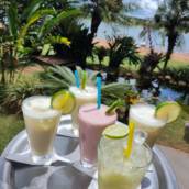 Drinks Refrescantes – Sabor e Exclusividade em Avaré/SP