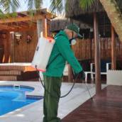 Maxprag Dedetizadora em Cabreúva – Proteção Completa Contra Pragas