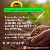 Serviços de Manutenção de Plantas