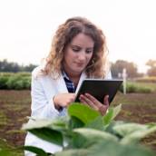 Contabilidade Rural - Soluções Especializadas para o Campo em Avaré/SP