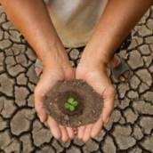  Soluções Ambientais Sustentáveis – Impacto Positivo no Meio Ambiente – São Paulo/SP