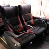 Ônibus e Micro Ônibus para Turismo - Conforto e Segurança para sua Viagem em Mara Rosa/GO