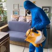 Dedetização Contra Pragas Urbanas - Proteção Eficaz em Belo Horizonte/MG