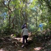Trilhas no Parque Estadual da Serra do Mar - Conexão com a Natureza em Cunha, SP