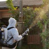 Controle de Mosquito Aedes aegypti/Mosquito da Dengue - Proteção Contra Epidemias - Salto