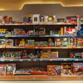 Loja de Brinquedos - Diversão e Variedade em Martinho Campos, MG