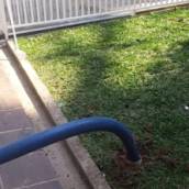 Sugar Resíduos em Franco da Rocha, SP