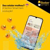 Conserto em Celular Molhado 