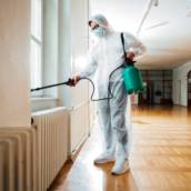 Desinsetização – Controle Eficiente de Pragas em Jundiaí, SP