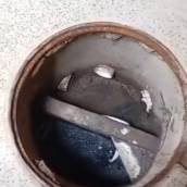 Desentupidora e Limpeza de Fossa em Morro Doce, SP – Desentupidora Fácil Ambiental