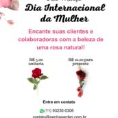 Dia Internacional da Mulher