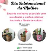 Dia Internacional da Mulher