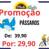 Pássaros