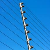 Venda de Cerca Elétrica - Aris Segurança Eletrônica, Águas Lindas de Goiás, GO