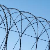 Venda de Concertina - Aris Segurança Eletrônica, Águas Lindas de Goiás, GO