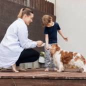 Adestramento de Cães em Pedro Leopoldo