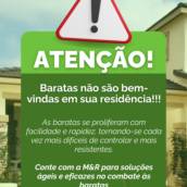 Desinsetização – Ambiente Seguro e Livre de Pragas – Riviera de Santa Cristina V