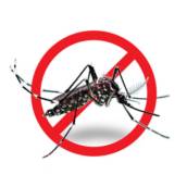 Dedetização de Mosquito da Dengue | Vargem Grande Paulista, SP