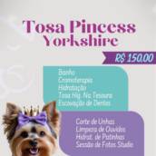 Tosa Princess Yorkshire