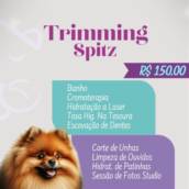 Trimming Spitz