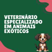 Veterinário Especializado em Animais Exóticos em Itapetininga