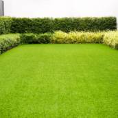 Poda de Grama e Cerca Viva em Ribeirão Preto – Jardinagem de Precisão