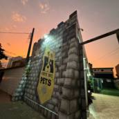 Unidade Castelo – Onde Tudo Começou com Amor