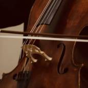 Venda de Instrumentos Musicais em Carapicuíba – Novos, Usados e com Avaliação Profissional