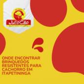 Onde encontrar brinquedos resistentes para cachorro em Itapetininga