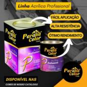 Tinta Acrílica Profissional Econômica em Ourinhos - Alta Cobertura