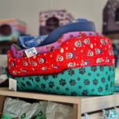 Mais Conforto e Saúde – Cama para Cachorro Antialérgica em Itatinga