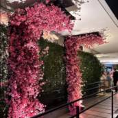 Decorações para Formaturas – Flor Decora em Ibitinga, SP