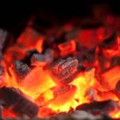Carvão de Qualidade para Churrasco – São Manuel