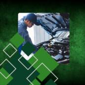 Motores Diesel e Flex