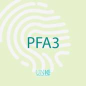 Certificado Digital PFA3: Solução Completa para Profissionais da Área Fiscal em São Paulo/SP