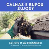 Calhas e rufos sujos?