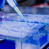 Conserto e Manutenção de Câmaras para Laboratórios – São Tiago MG