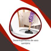 Desentupimento de vaso sanitário