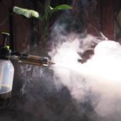 Termonebulização ou Fumacê em Aracaju