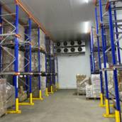 Câmaras Frias de Grande Porte - Manutenção e Projetos Personalizados em Olímpia