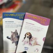 Antiparasitário para Cães e Gatos 